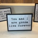 Oasis Fan Gift – A5 Lyric Quote Print with Frame – Oasis 2025 Vinyl Wall Art – Customisable with Gig Location & Date